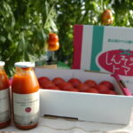 【ふるさと納税】[A61] フルーツトマト（深層水トマト）1.2kgとトマトジュース小瓶セット