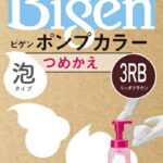 ホーユー｜hoyu Bigen（ビゲン） ポンプカラー 替 泡 リッチブラウン